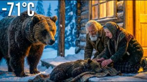 Дикая медведица оставила своего замерзающего детёныша у двери пожилой пары при температуре -71 °C
