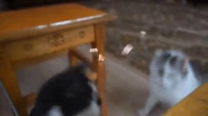 старые пранки