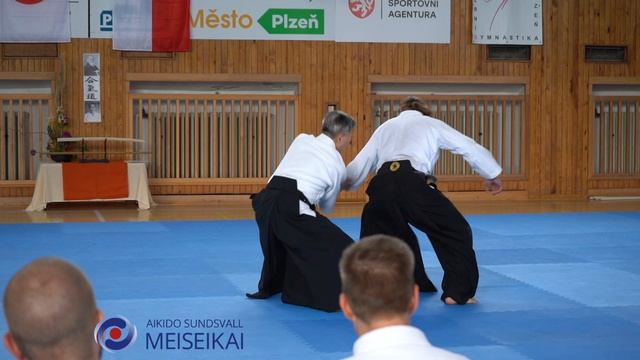 8.Aikido Gyaku Hanmi Ikkyo Ura Detail Shishiya Sensei Pilsen 2023