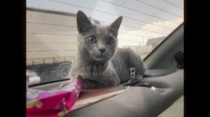 [🎀ⲉⲇυⲧ ᥴ ⲙ𐔖ᥱύ ⲕ𐔖ɯᥱɥⲕ𐔖ύ🎀][🧸ⲕᥲⲕ ⲃᥲⲙ?🧸][🦄ᥒρυяⲧⲏ𐔖𐔏𐔖 ᥒρ𐔖ᥴⲙ𐔖ⲧρᥲ🦄]