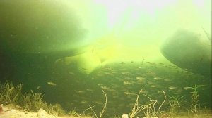 1000011776.mp4Волга гл.2м.14.03.2026г.