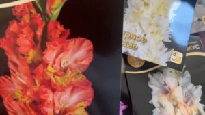 НАЧИНАЮТ ПОСТУПАТЬ ЛУКОВИЦЫ ГЛАДИОЛУСОВ.ПОСМОТРИТЕ КАКИЕ ОНИ ПРЕКРАСНЫЕ И НЕОБЫЧНЫЕ.