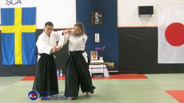 13.Aikido Ai Hanmi Low Position Ikkyo Omote, Shishiya Sensei Sundsvall 2012