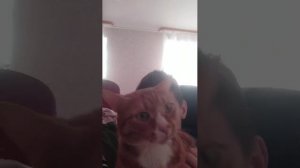 играю в Майнкрафт в virtual box