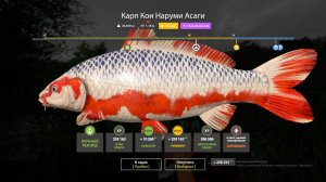 МЕДНОЕ ЗА КРАСИВЫМ ФАРМОМ И ДРУГИЕ ВОДОЕМЫ? В РУССКОЙ РЫБАЛКЕ 4 СТРИМ