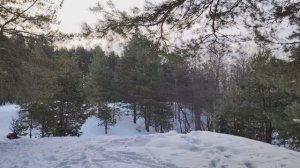 Осторожно... Налоги! Немного о финансовой грамотности