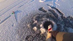 Зимой на джиг _ Легко! Супер клёв на силиконовые приманки. Рыбалка со льда