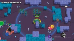 БРАВЛ СТАРС! КАК БОРОТЬСЯ ПРОТИВ КРЫС В СОЛО ШД?