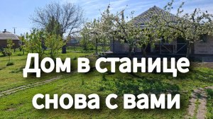 #259 Дом в станице снова с вами!