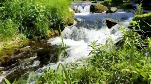 Водопад Ключевой Камчатка.... 02.08.23.