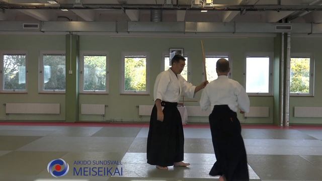 5.Aikido Tachidori Iriminage Omote Shishiya Sensei Malmö 2017