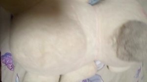 песня про ваши имена