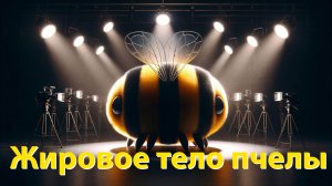 Что такое жировое тело и зачем оно пчеле? Объясняет профессор Кашковский
