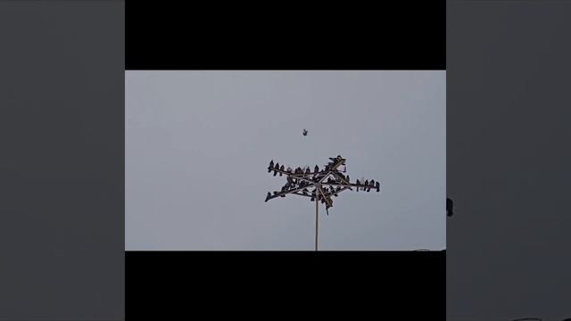 10181605263946 смотреть онлайн