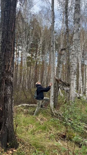 По грибы по ягоды.