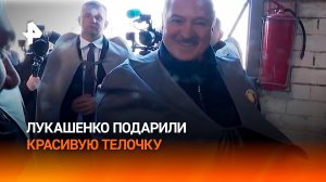 Лукашенко подарили "красивую телочку"