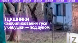 «Как немцы»: ТЦКшники украли гуся у пенсионерки, угрожая автоматом