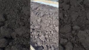 Постепенно продолжаем оптимизировать нашу вермиферме. Цель - заставить червя работать круглый год.