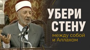 №230_2 Мудрость, заложенная в неприятностях | Почему Пророк не выбрал жизнь царя? |Рамадан аль-Буты