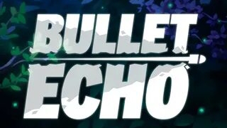 Bullet echo Сталкер