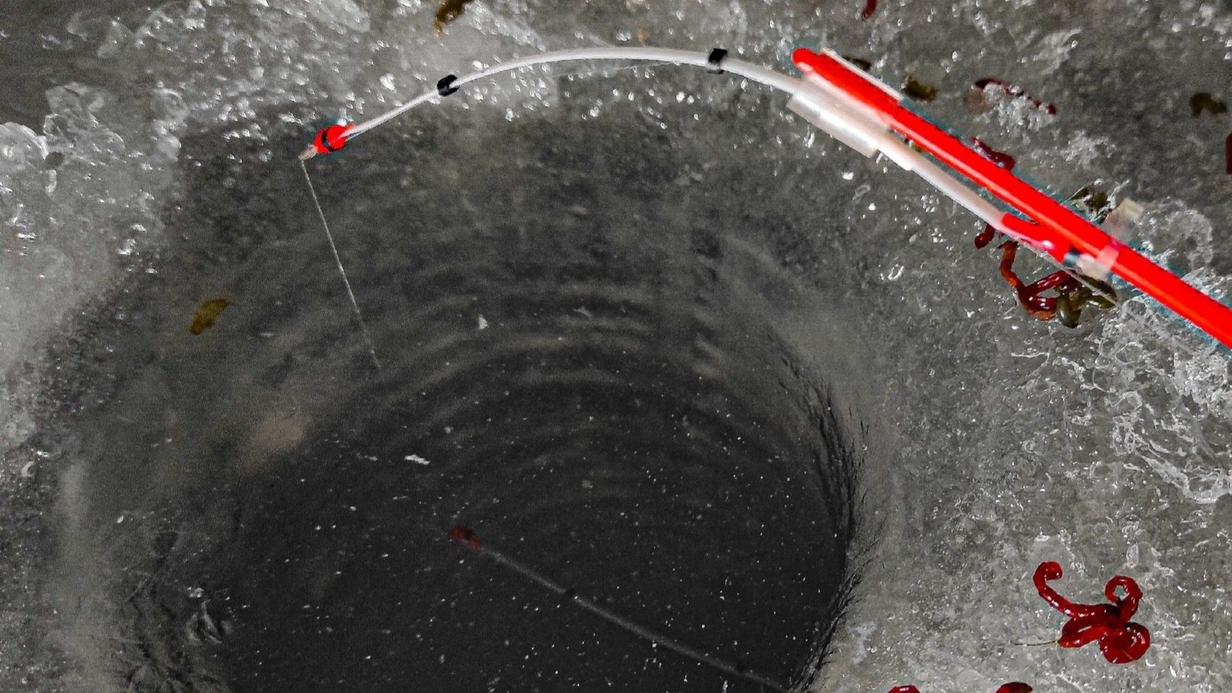 РЕАЛЬНЫЙ КРУПНЯК ПРËТ УДОЧКУ В ЛУНКУ!!! Зимняя рыбалка 2026