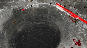 РЕАЛЬНЫЙ КРУПНЯК ПРËТ УДОЧКУ В ЛУНКУ!!! Зимняя рыбалка 2026