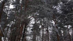 Весна! Весна_ Весна¡2023