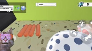 Я стала котом. Жизнь кота. 😻😉😺