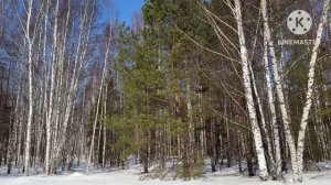 В деревне! 9-14 марта 2026 Пришла Весна!!!