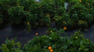 ребенок у калитки