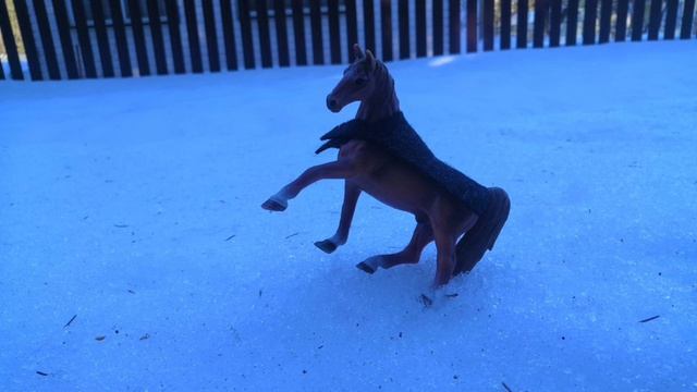 фотосетик 💖