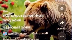 «Таёжный ручей» реальный случай из юности