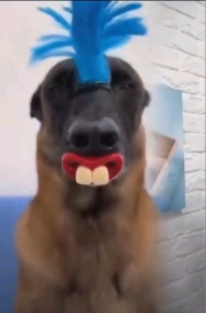 играю в майн онлайн