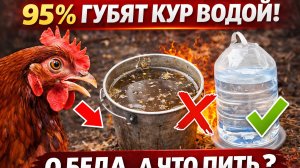 95% хозяев губят своих кур ВОДОЙ! 😱 Эти ошибки убивают яйценоскость | Проверь свои поилки



Вы уди
