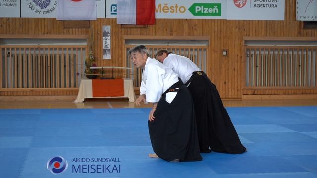 10.Aikido Gyaku Hanmi Stepwork Shishiya Sensei Pilsen 2023