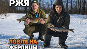 ЩУКА НА ЖЕРЛИЦЫ #РЖЯ