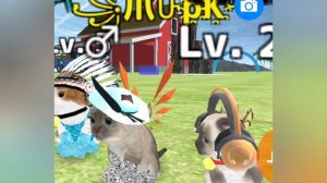 может встретите мёдо. ♡