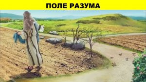 Поле разума. (служение)