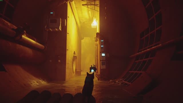 привел дока и зашел в канализацию | stray