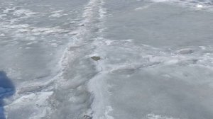 Водоем 14.03.2026г