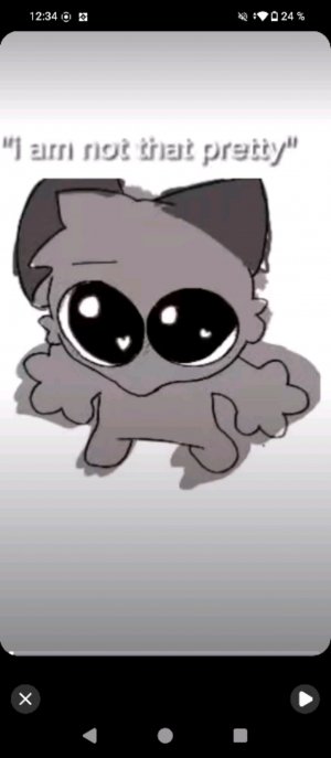 шоу конфетка