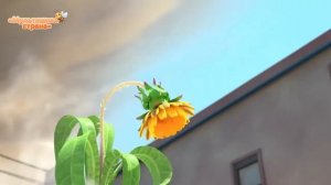 Мультик про одуванчик