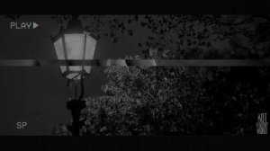 В ГОРОДЕ ЗАВЕЛСЯ ТРУПОЕД.. Страшные истории на ночь 🫣🫣🫣