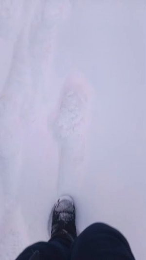 я гуляю видео снимаю