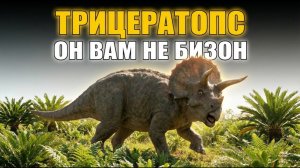 ТРИЦЕРАТОПС : его приняли за бизона