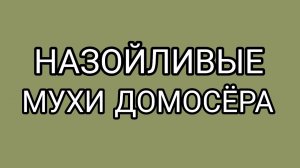 Гипертонический криз «Аристократа»