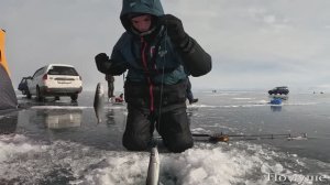 зимняя ловля ОМУЛЯ НА БАЙКАЛЕ.глубина 128 метров клюёт сразу по 3!