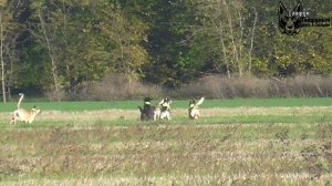 Сборник поимок 2025г