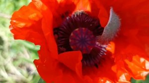 Высказывания великих людей