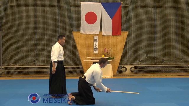 5.Aikido Tachidori Ikkyo Omote, Shishiya Sensei Pilsen Oktober 2018